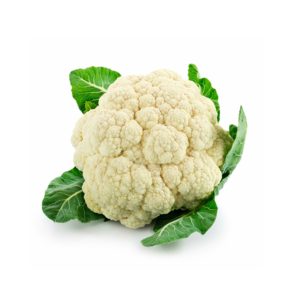 organic_products_13_1