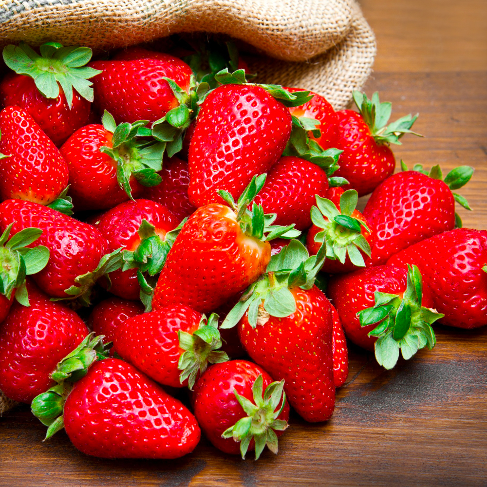 organic_products_16_2